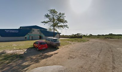 917491843353